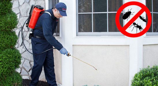 Arsuz Bit İlaçlama böcek ilaçlama ve haşere kontrolü — ilaclama-tr.com
